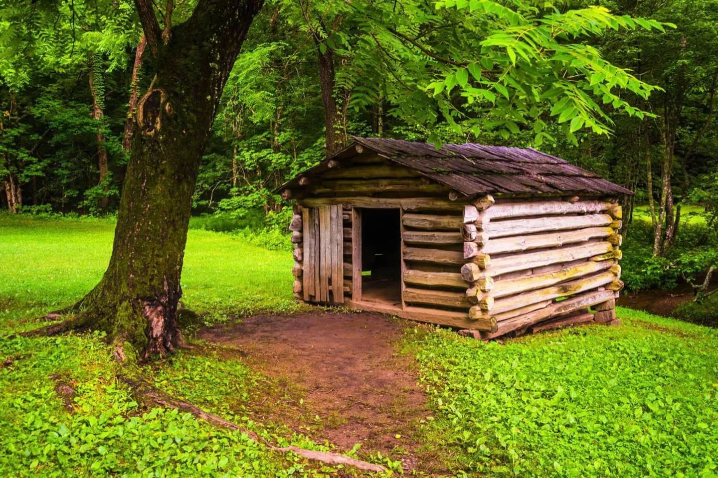 Parque Nacional das Grandes Montanhas Esfumaçadas
