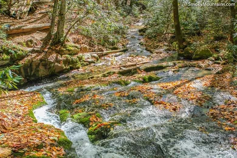 Chasteen Creek Cascade