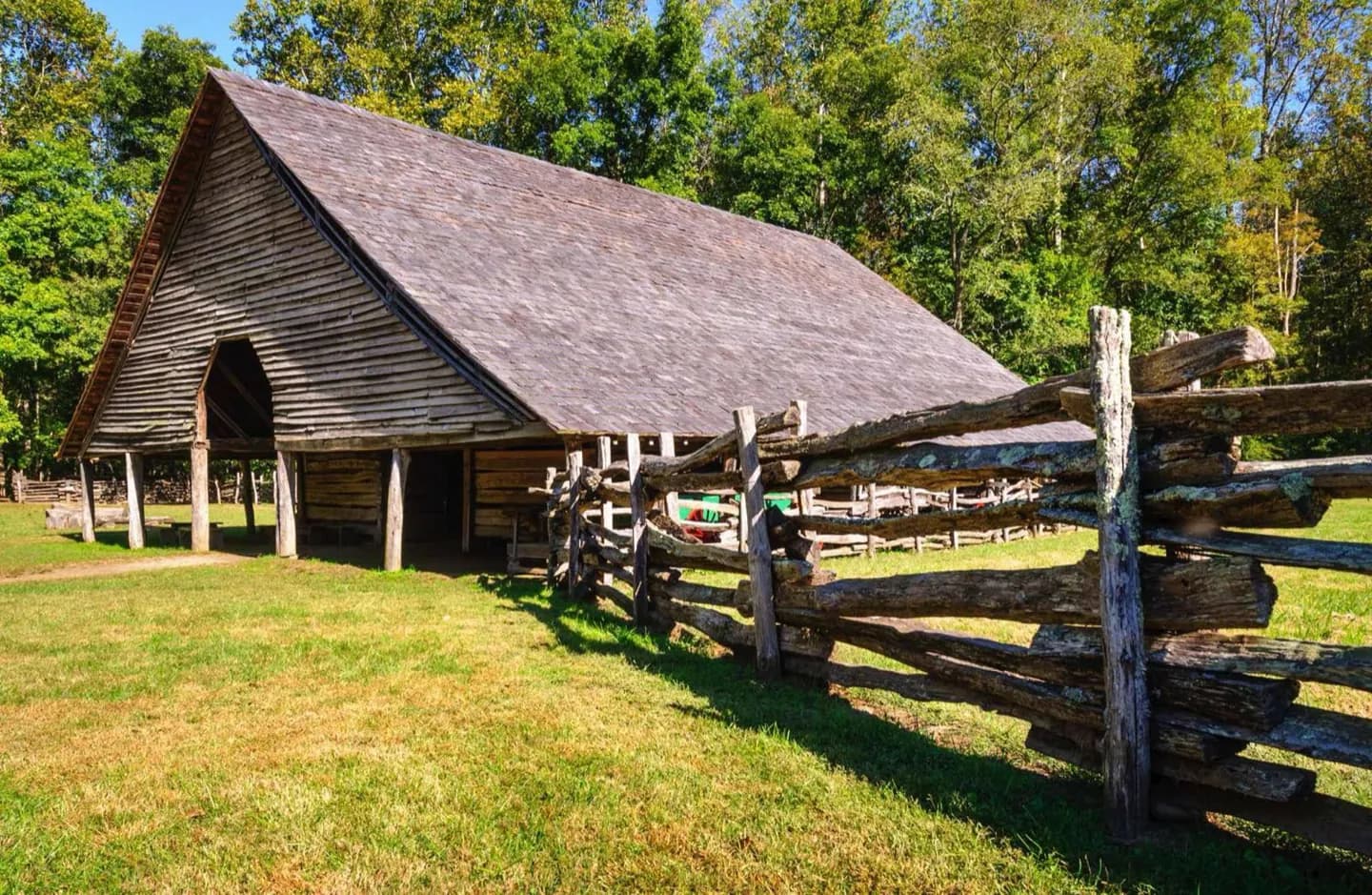 What Threatens the Smokies