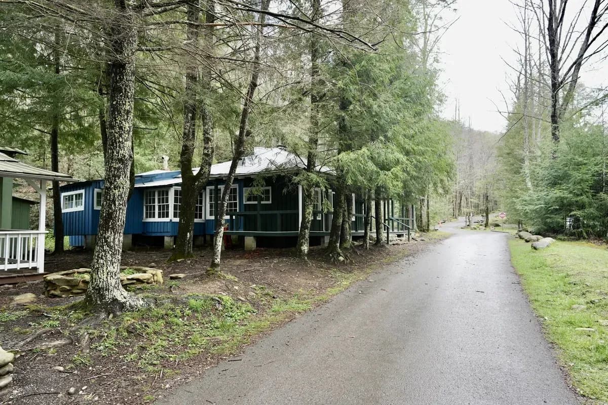 Daisy Town