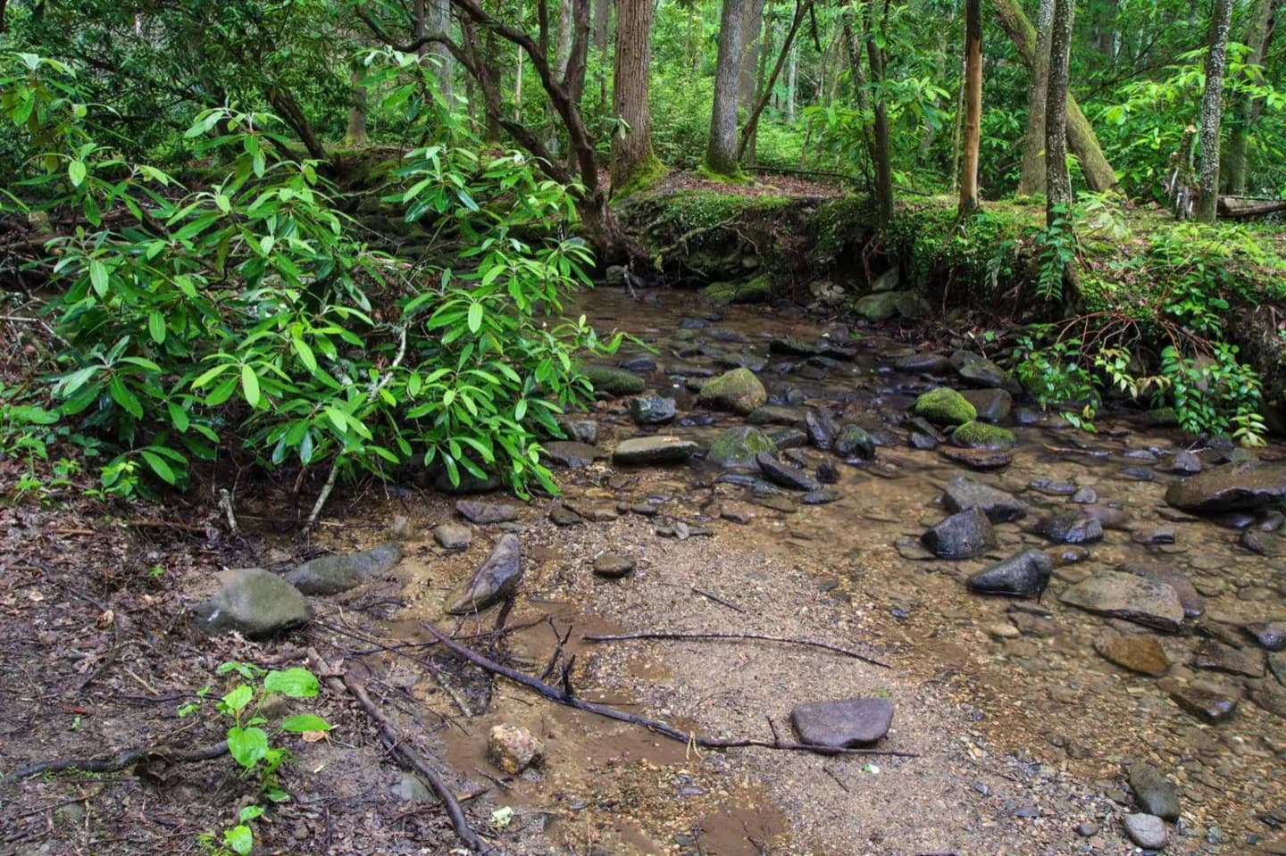 Die Felsen der Smoky Mountains verstehen