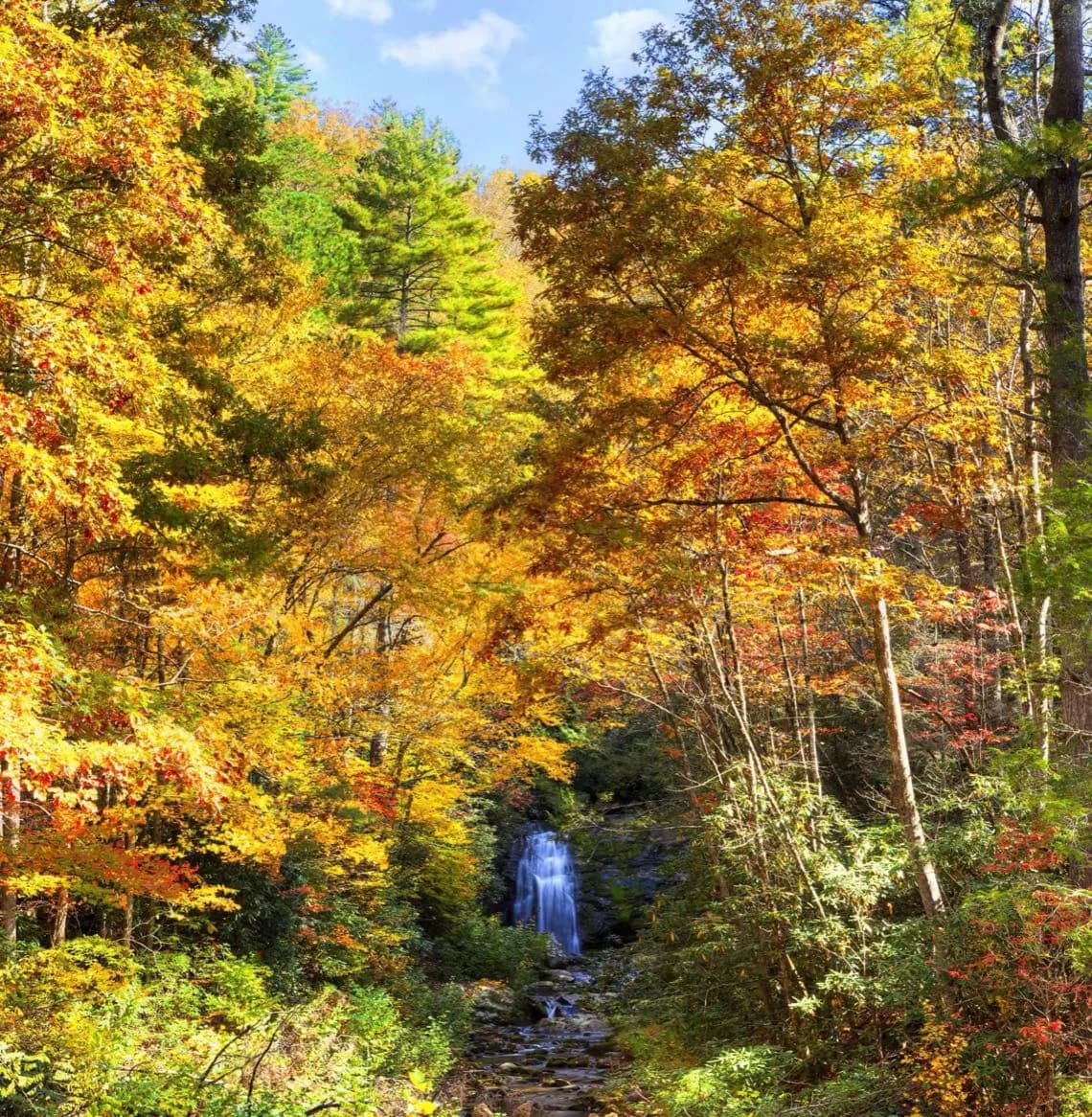 How the Smokies Became a Park