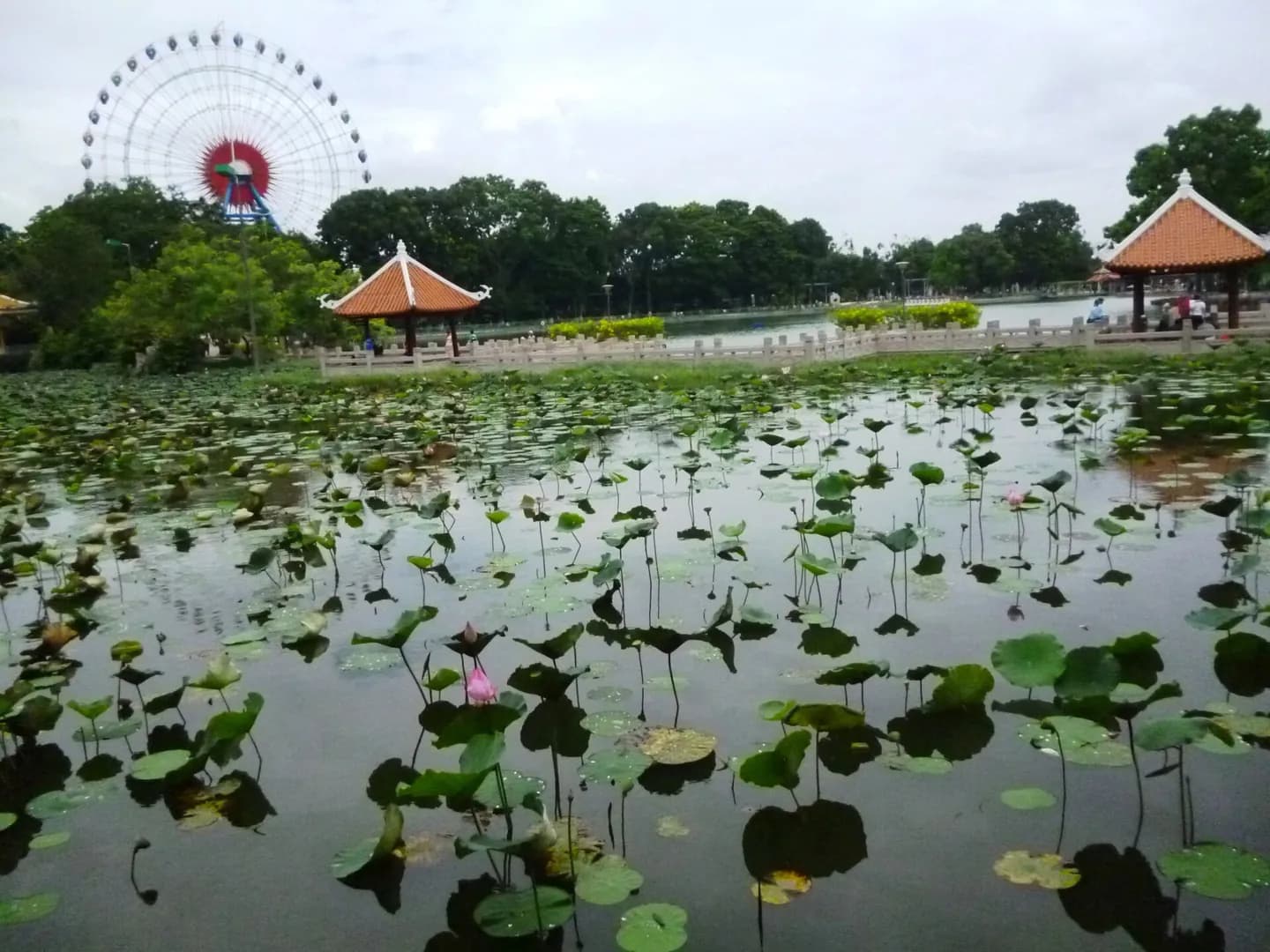 Đầm Sen文化公園
