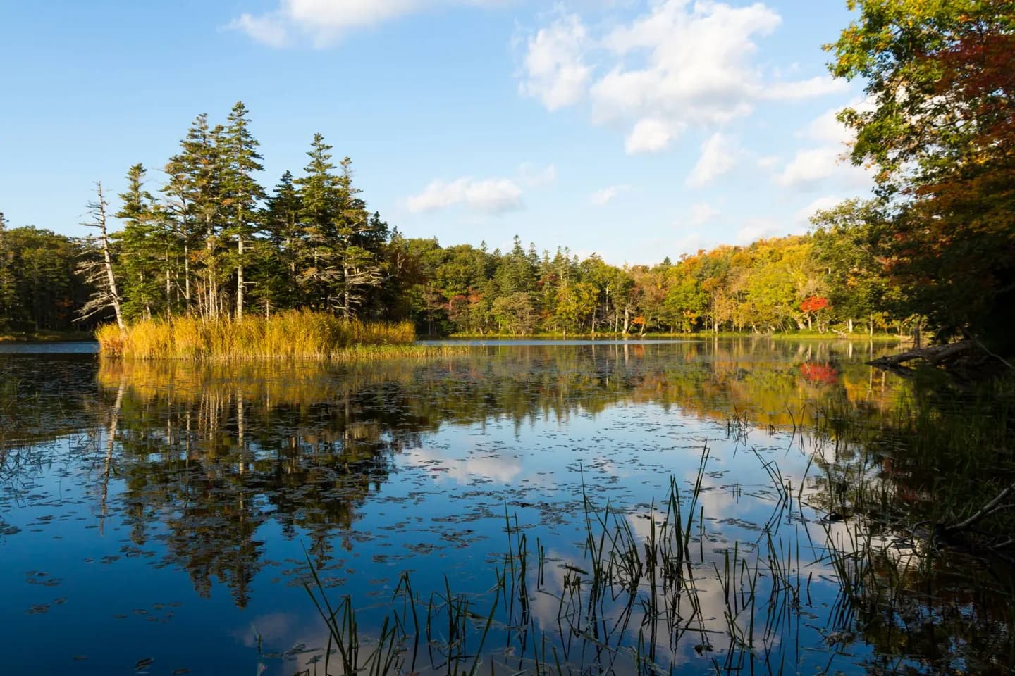 Parco nazionale di Shiretoko
