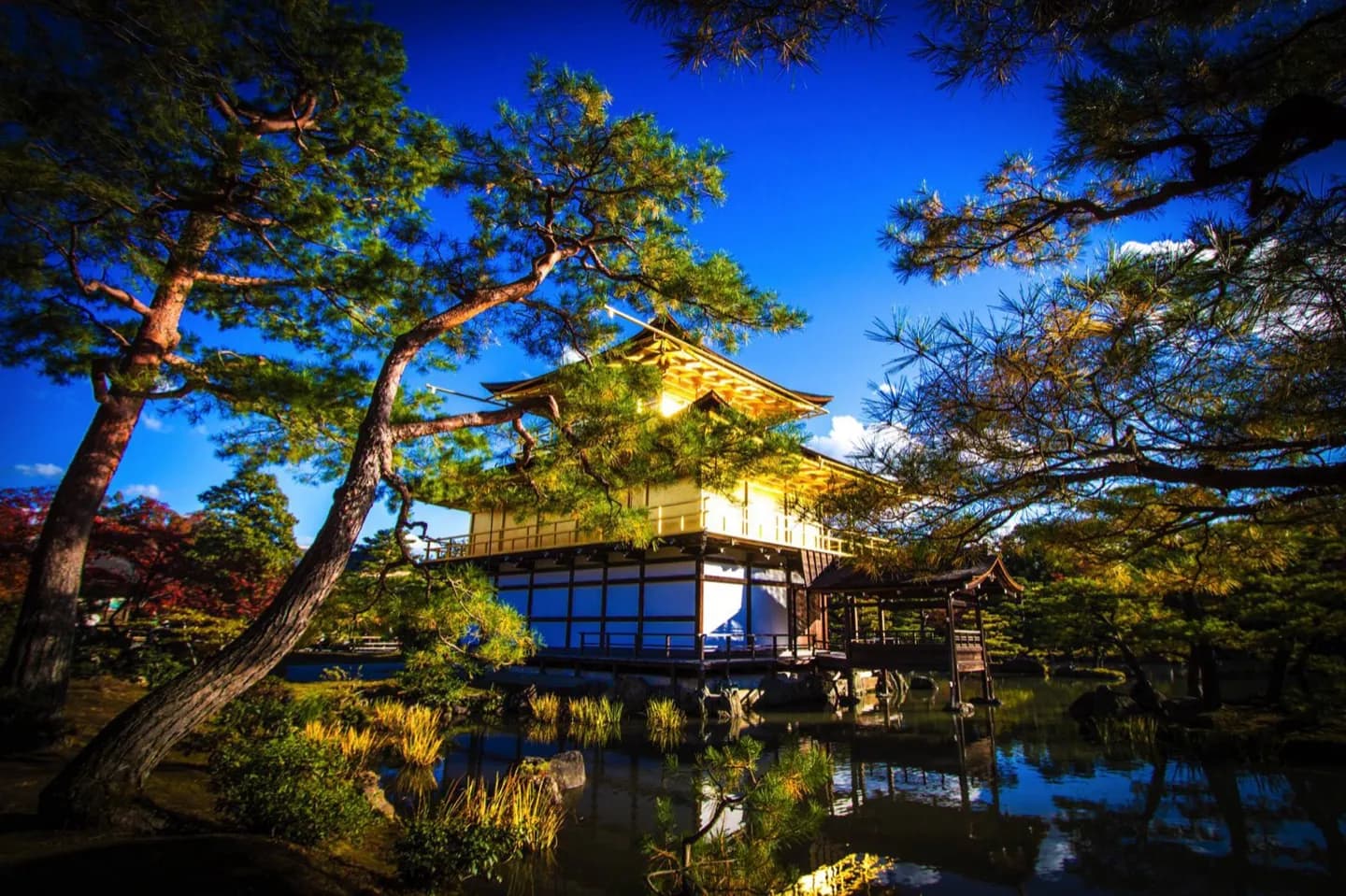S'orienter au Japon