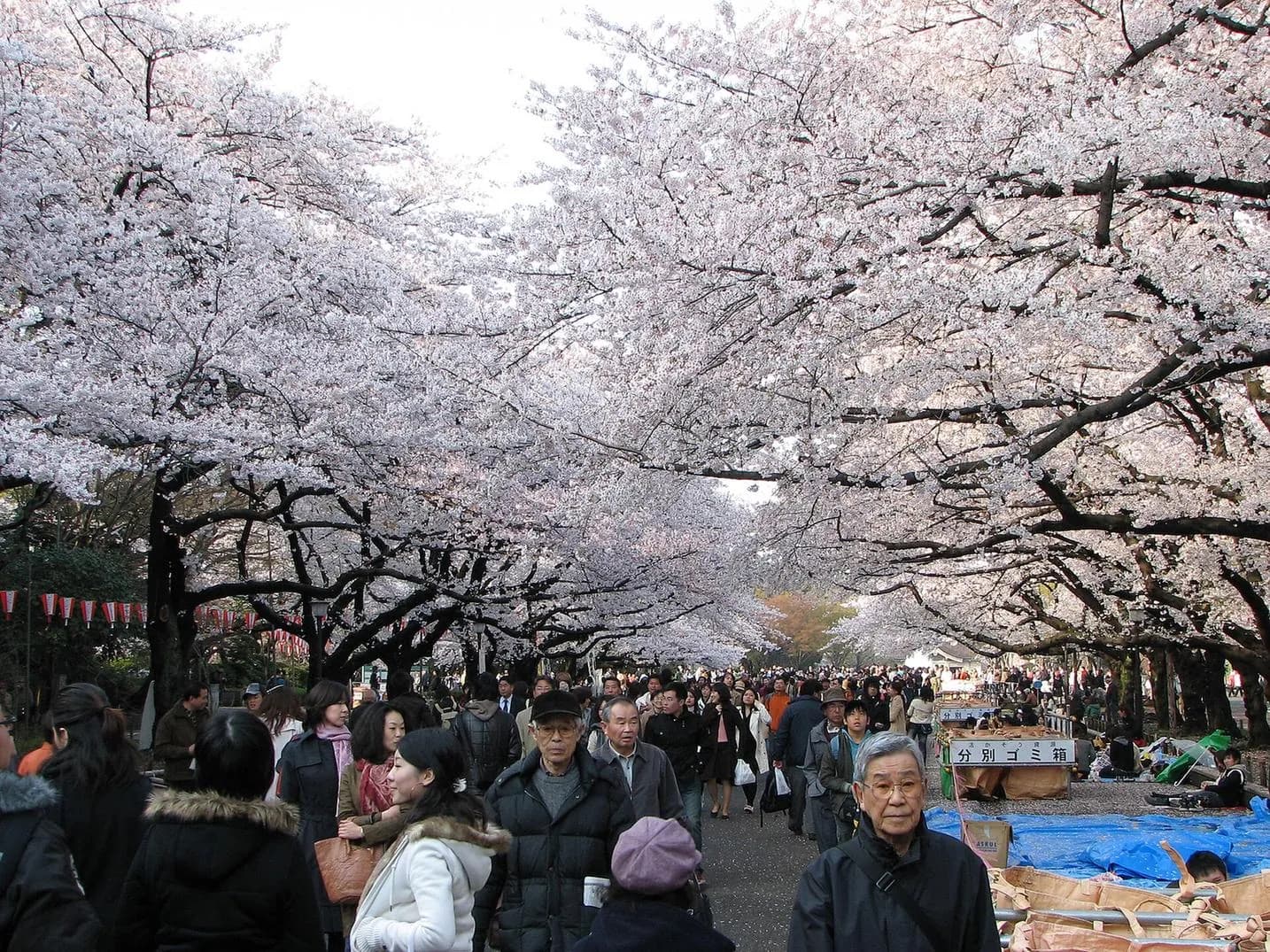 Parc Ueno