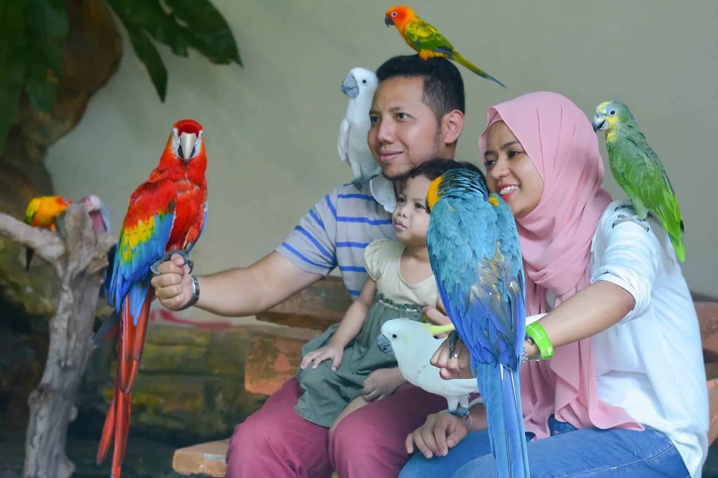 Kuala Lumpur Bird Park