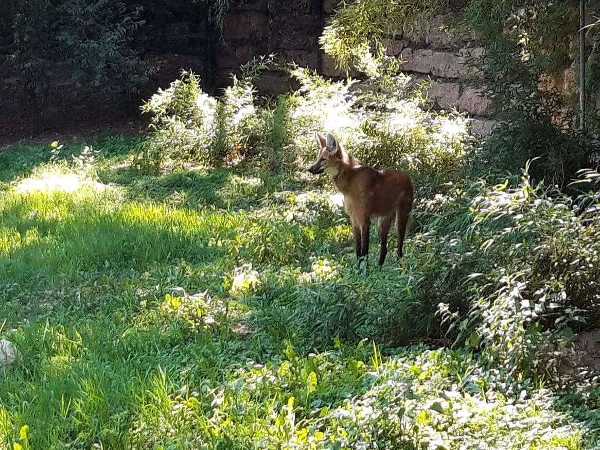 Parco Natura Viva