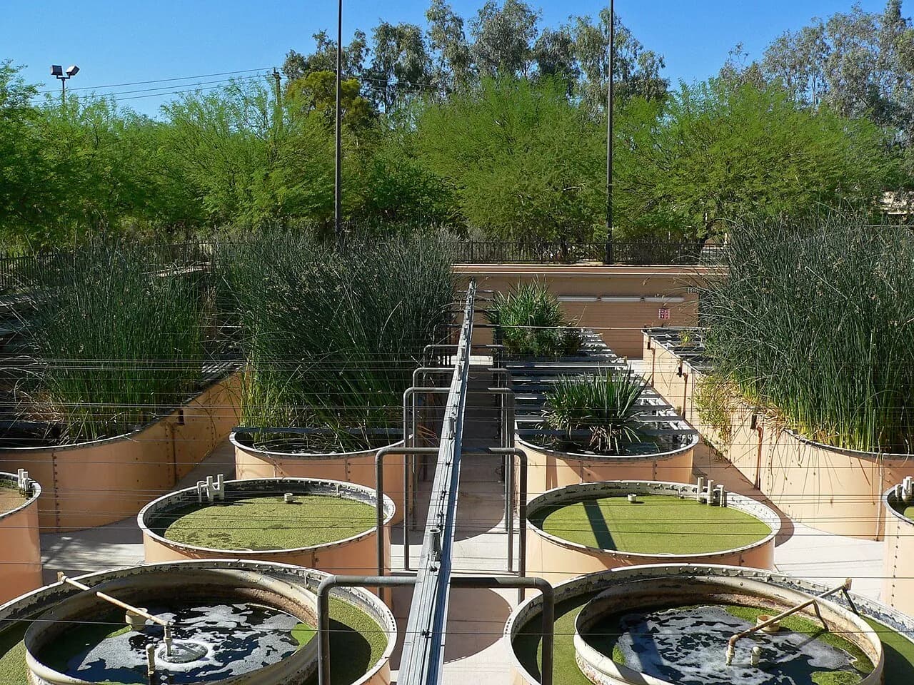 Ethel M Chocolate Factory