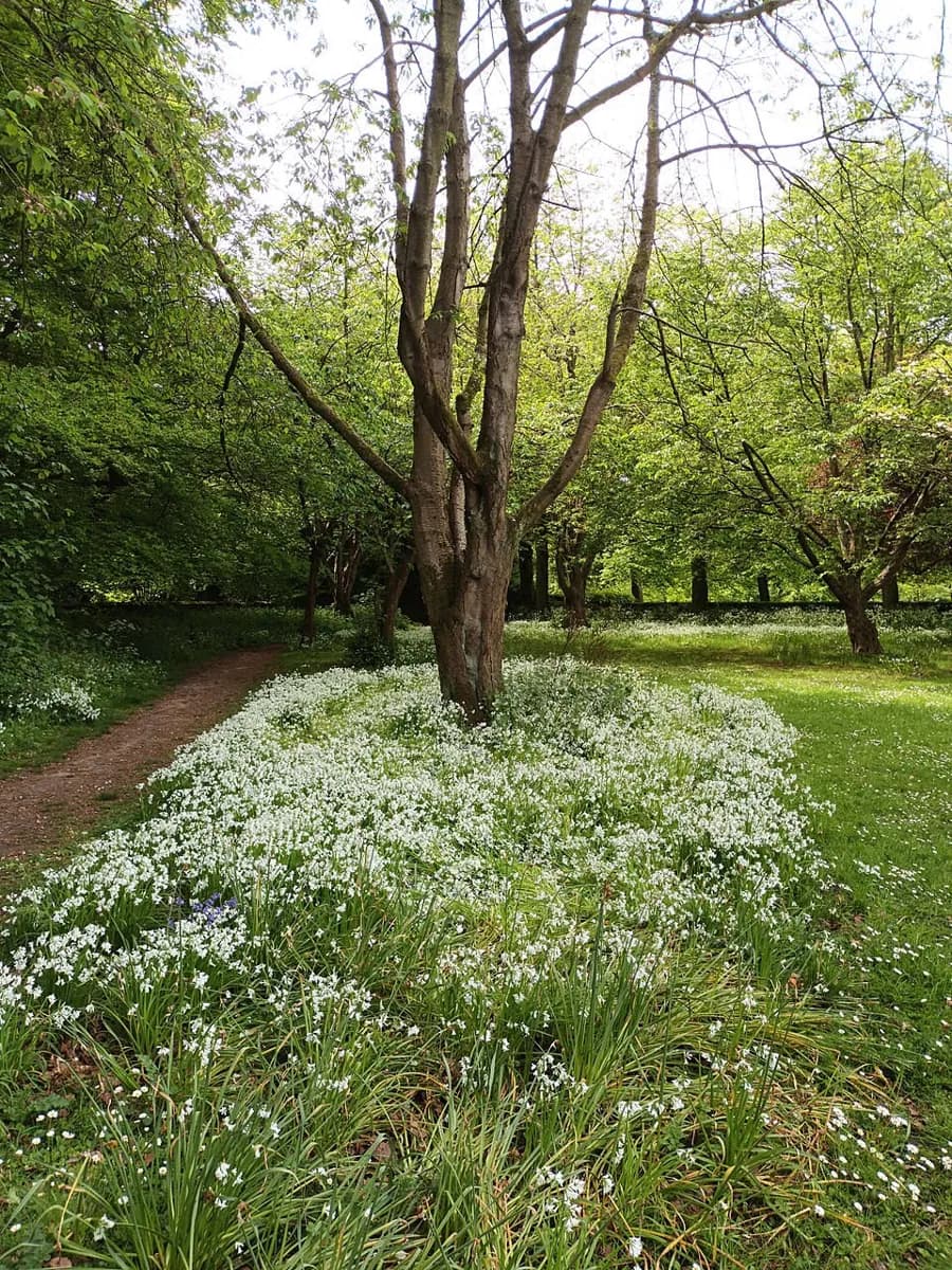 Parc Calderstones
