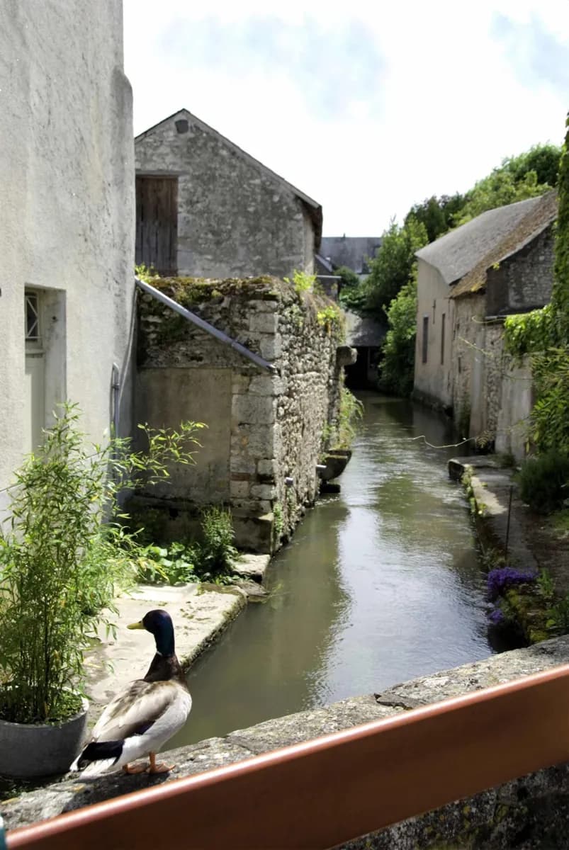 Meung-sur-Loire是如何为主教、士兵和囚犯服务的?
