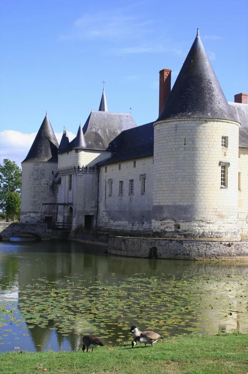 Cosa rende Château du Plessis-Bourré distintivo?