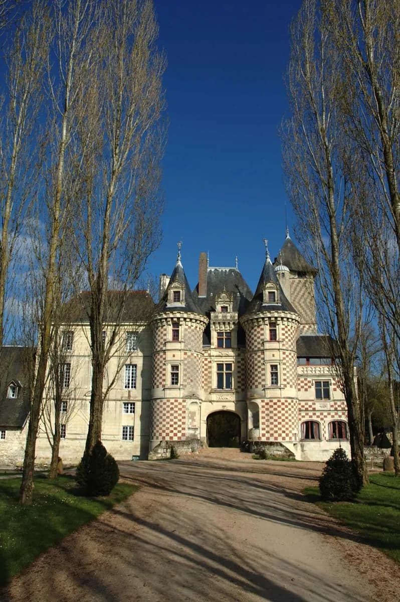Wie hat das Château des Réaux seinen Namen bekommen?