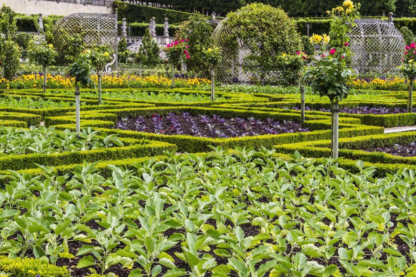 ¿Cómo tomaron forma los jardines de Villandry?