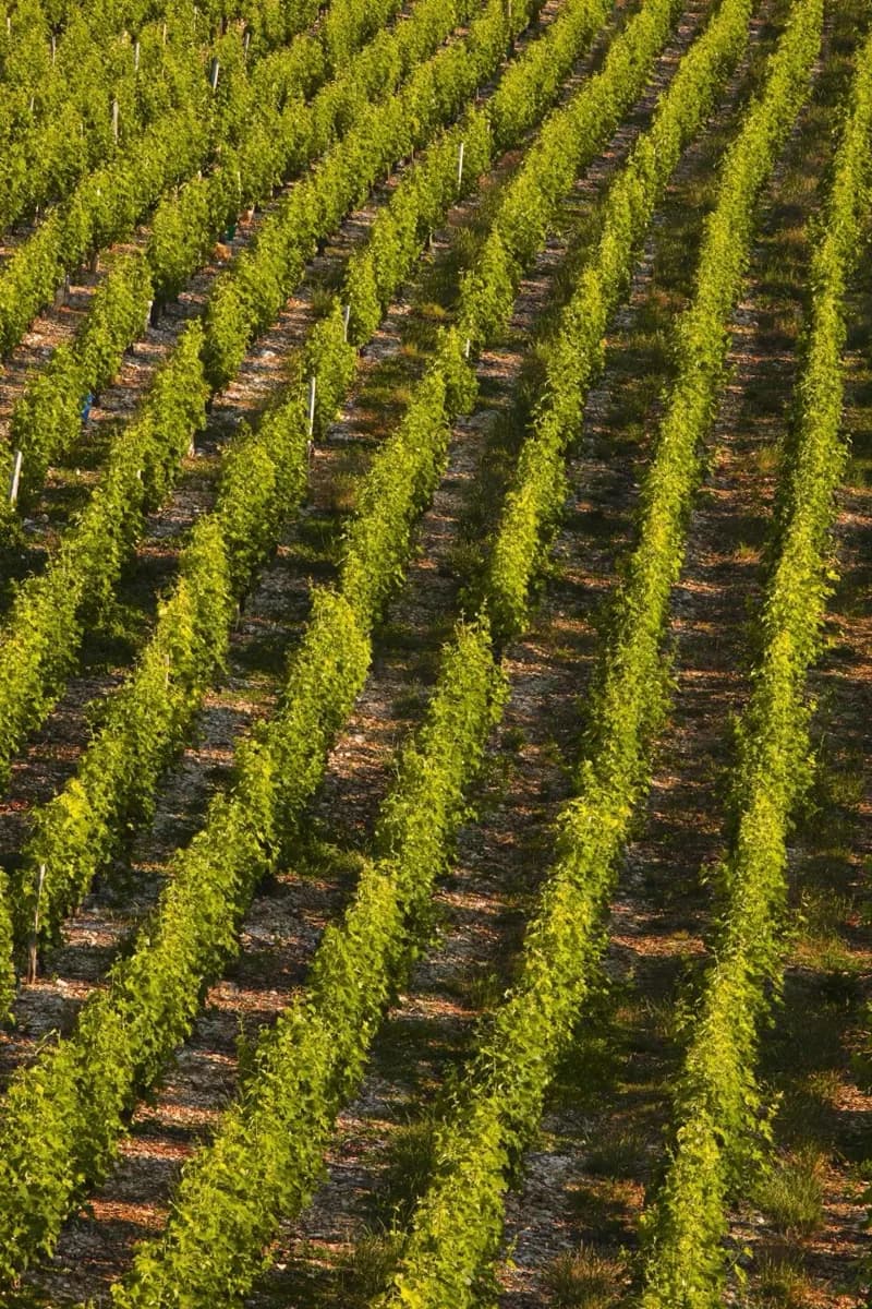 Como a geografia molda uma visita ao Vale do Loire