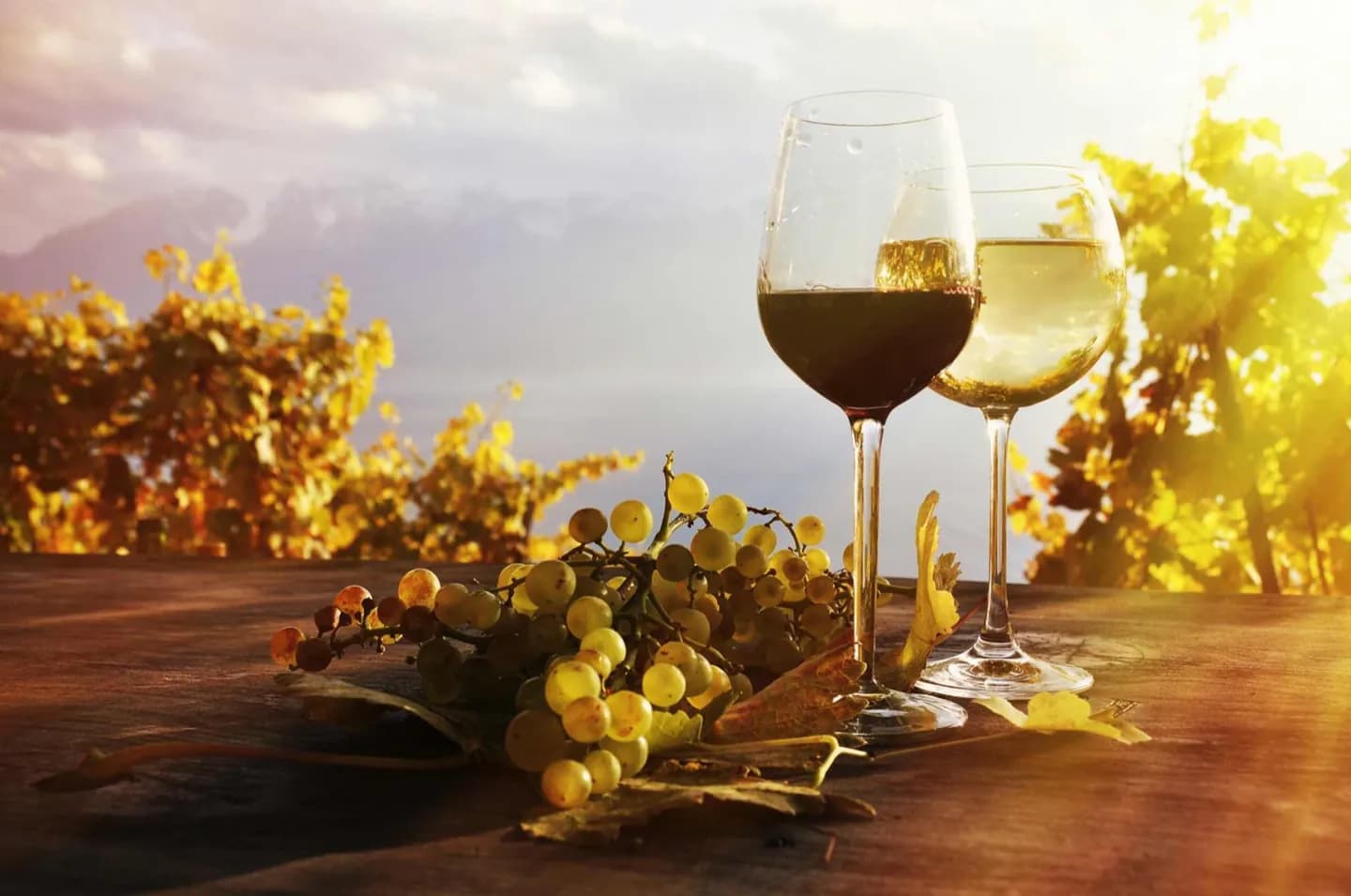 Vino del Loira, uvas y estilos