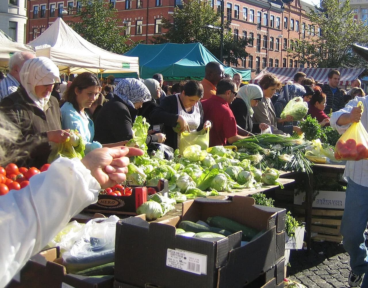 Möllevången Market, Folkets Park and Local Streets