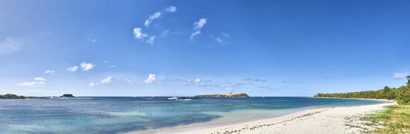 Salines: plage de palmiers, lagon et brin de l'Atlantique