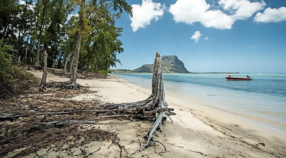 Île aux Bénitiers