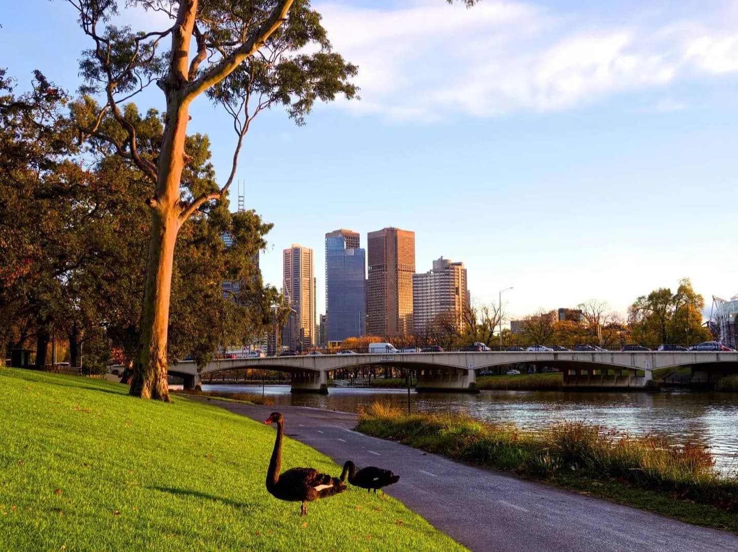 Southbank, Gardens and Outer Escapes