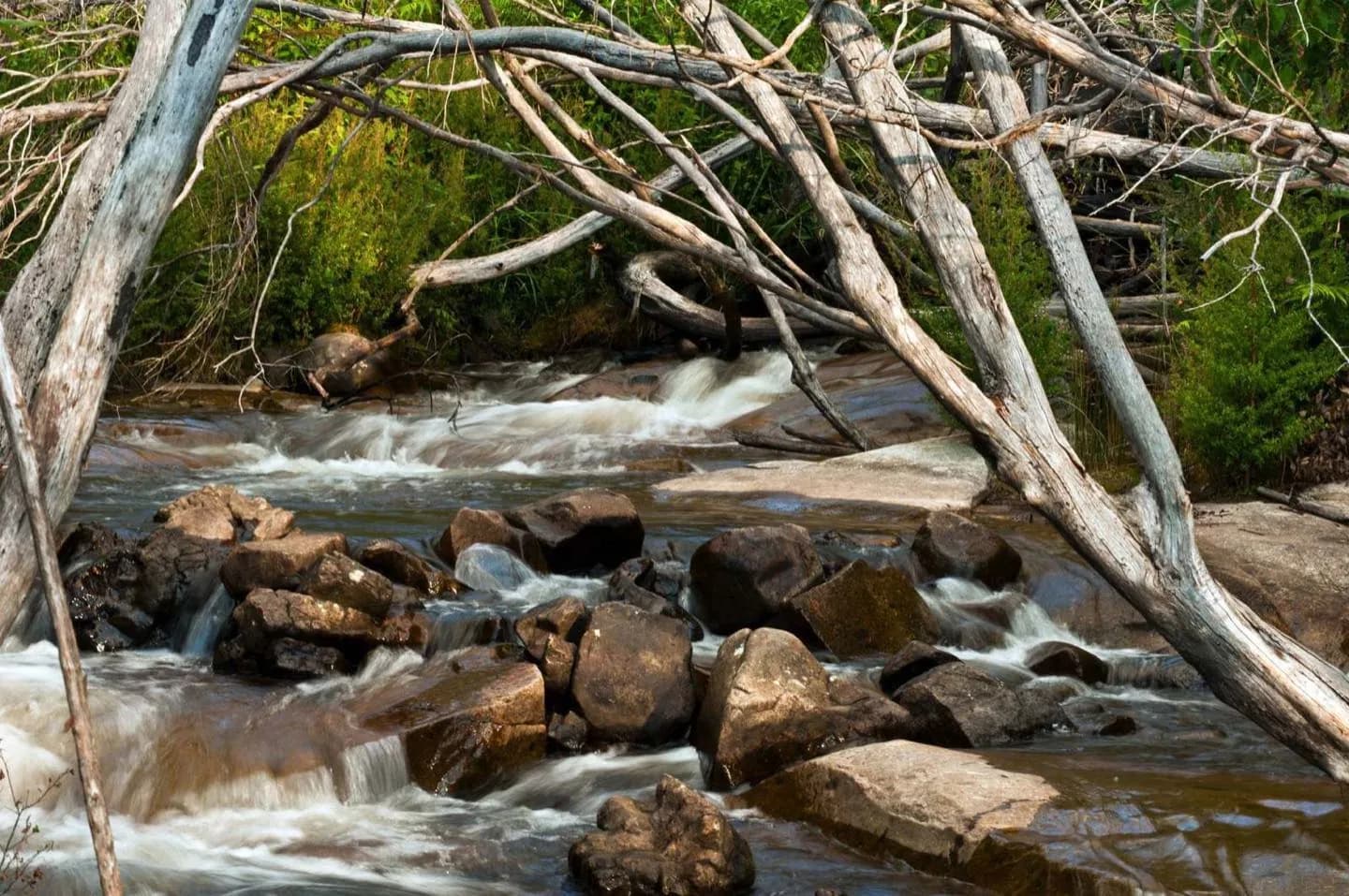 Darebin Creek Trail