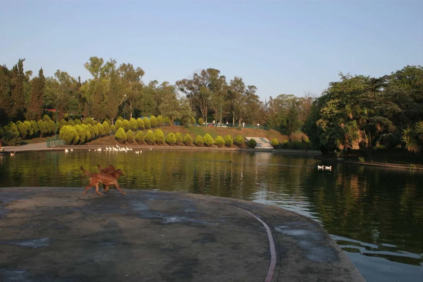 Bosque de Chapultepec