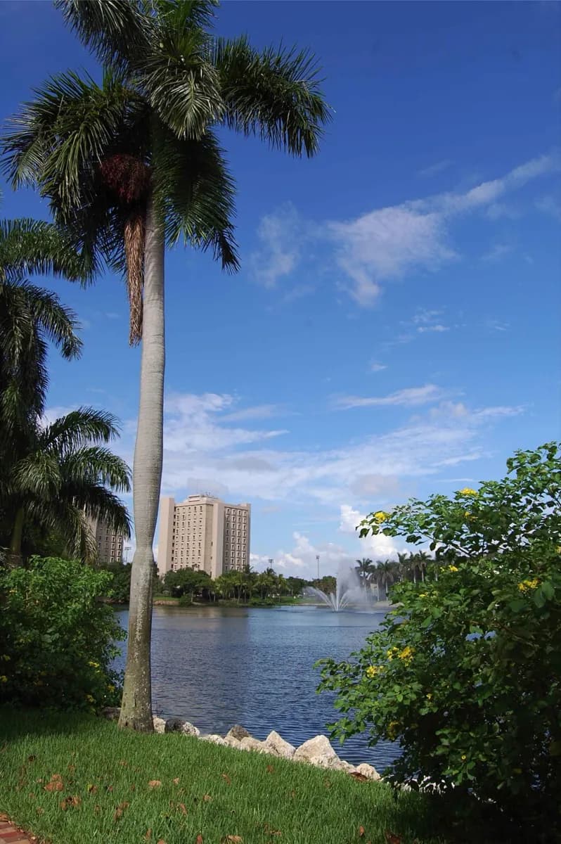 Universidade de Miami