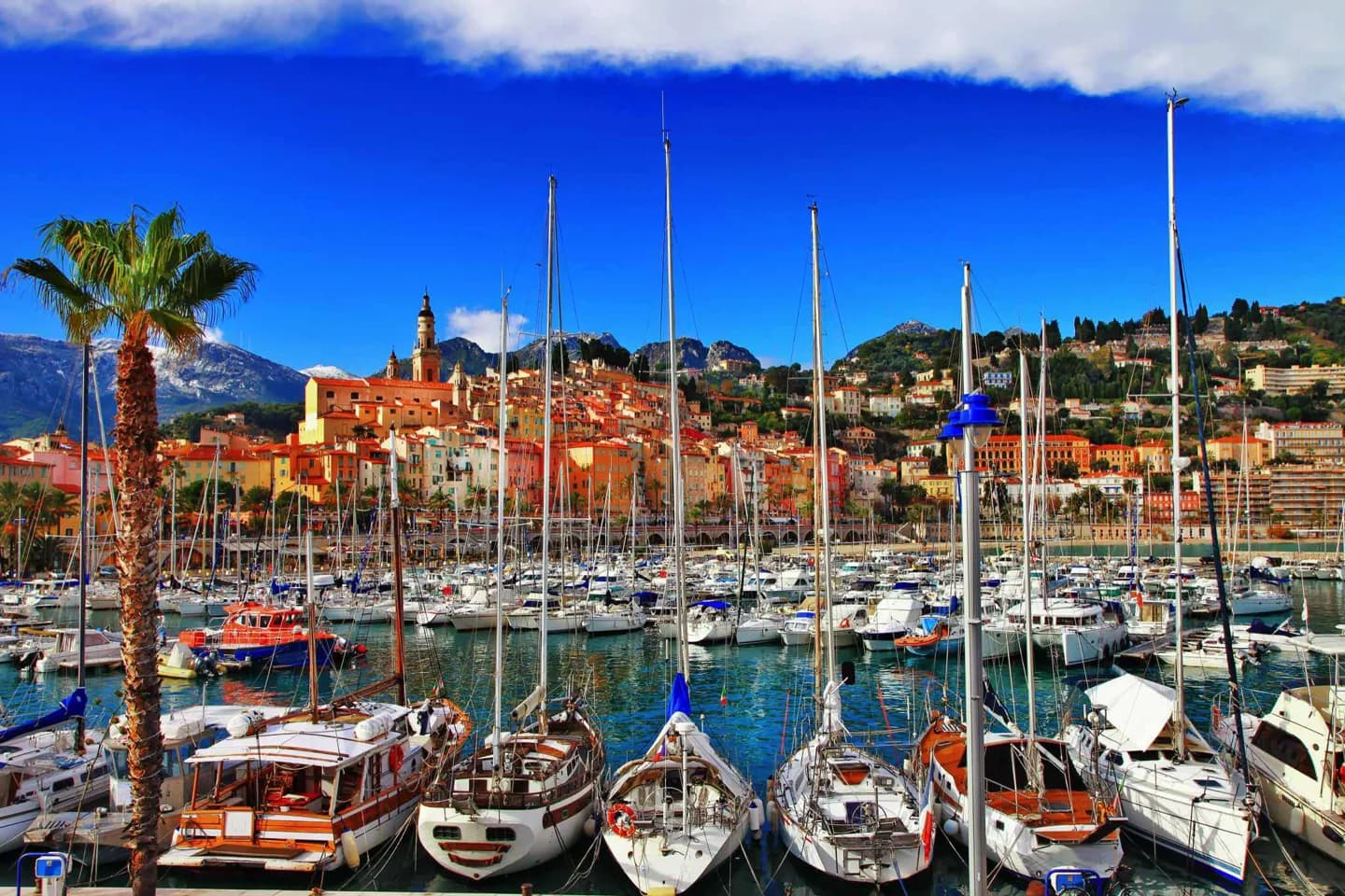 Monte Carlo