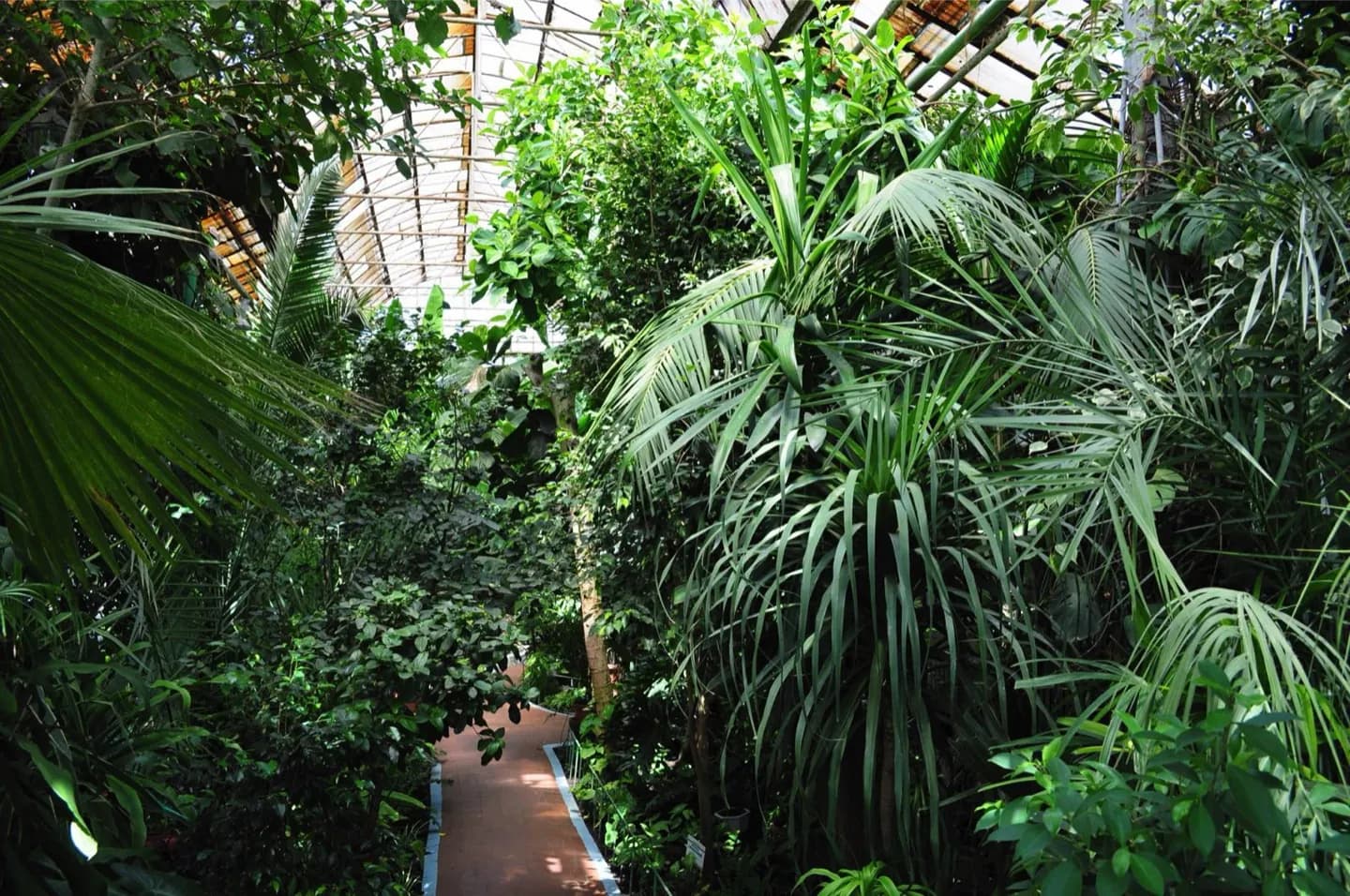 蒙彼利埃植物园