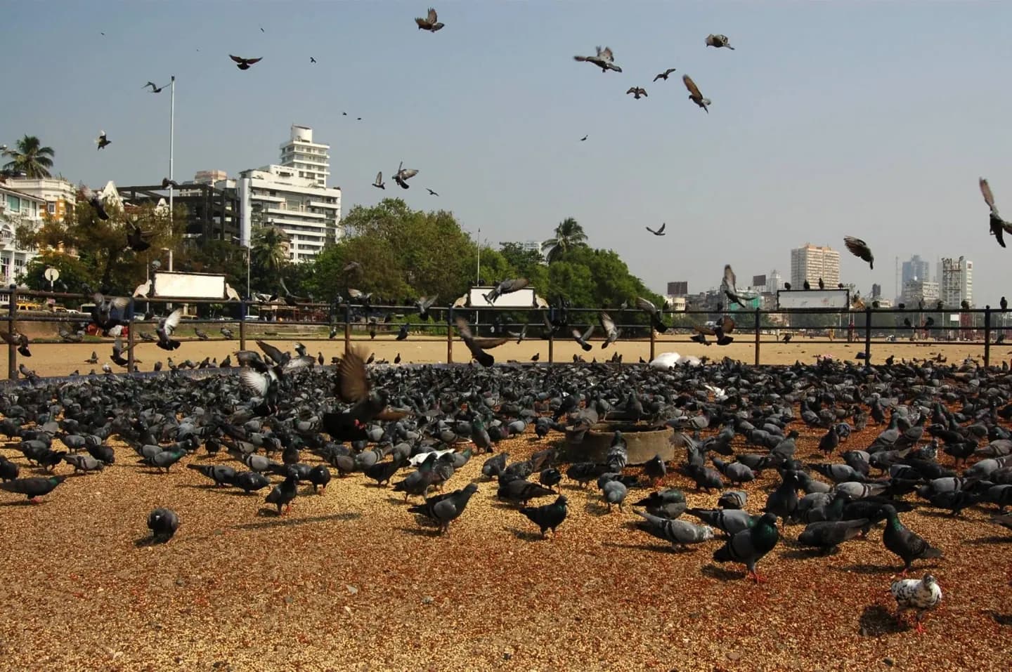 Girgaum Chowpatty
