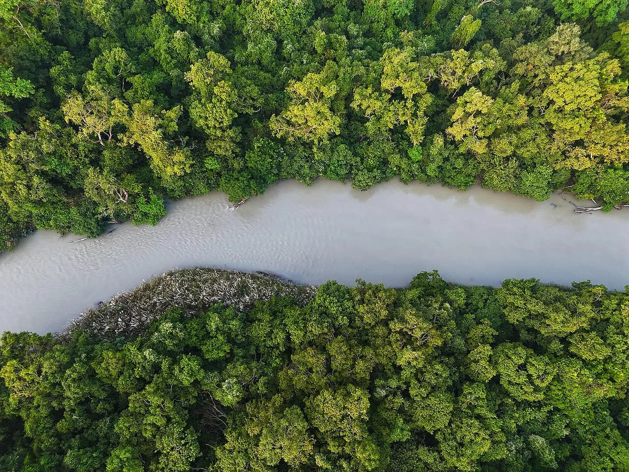 Bardiya National Park