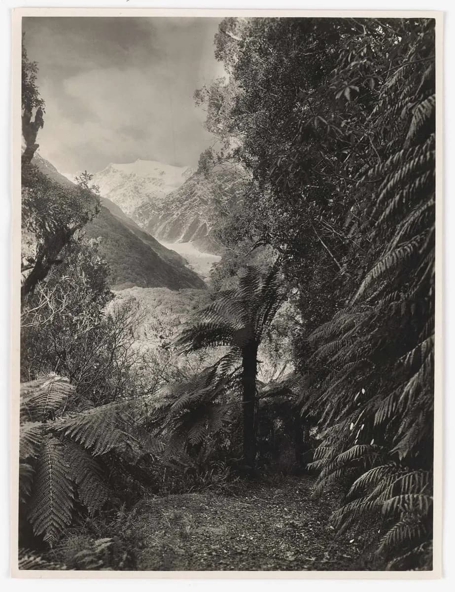 Franz Josef Glacier/Kā Roimata o Hine Hukatere