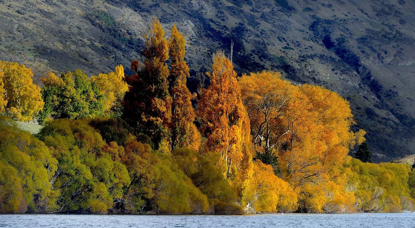 Lac Hayes