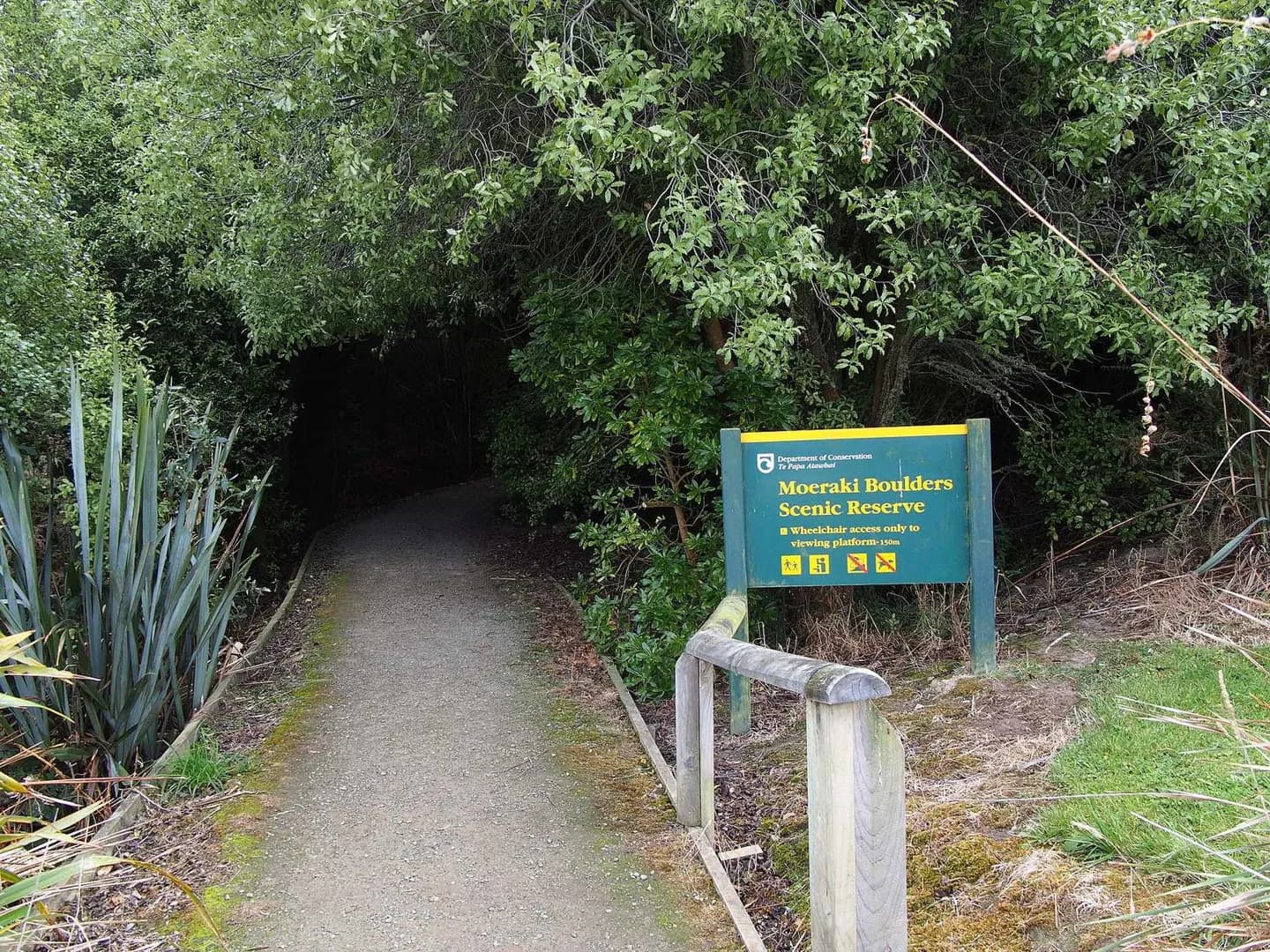 Moeraki-Felsen/Kaihinaki
