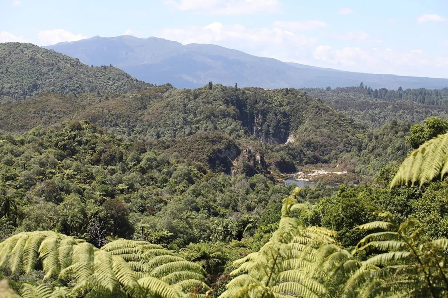 Waimangu-Vulkangebiet