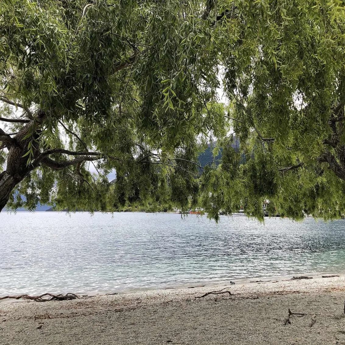 Queenstown Lake, History, and Gorge