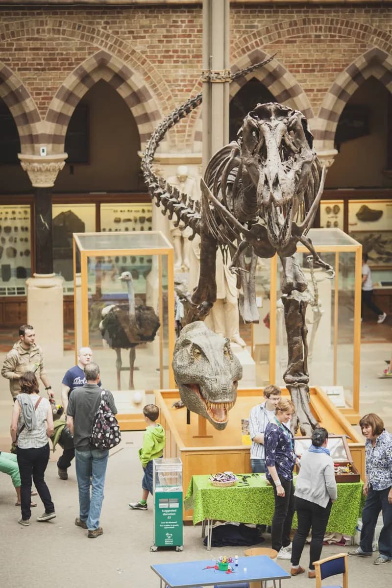 Oxford University Museum of Natural History