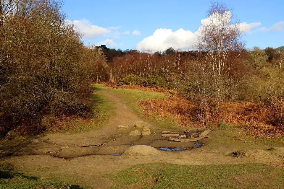 Parc de campagne Shotover