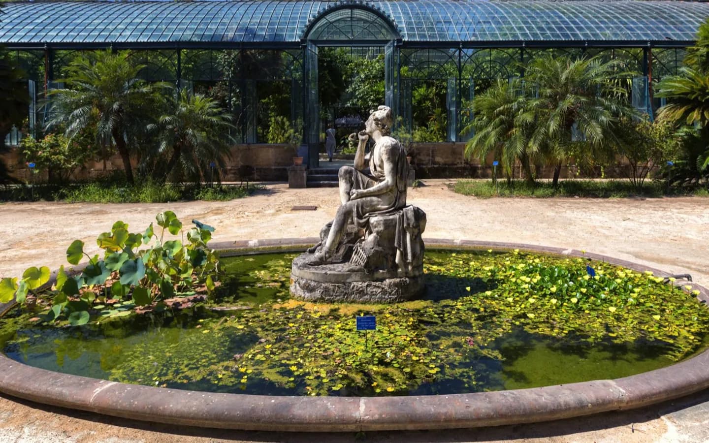 Orthobotanique de l'Université de Palerme