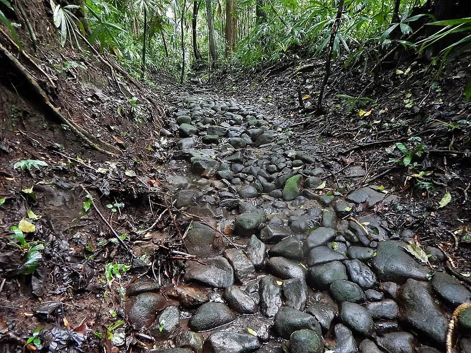 Camino de Cruces Trail