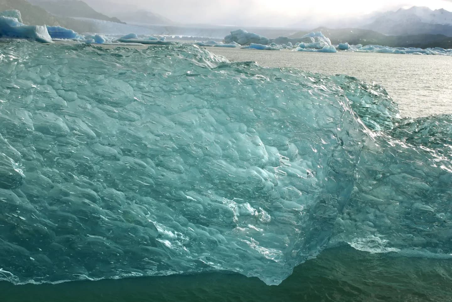 ウップサラ氷河