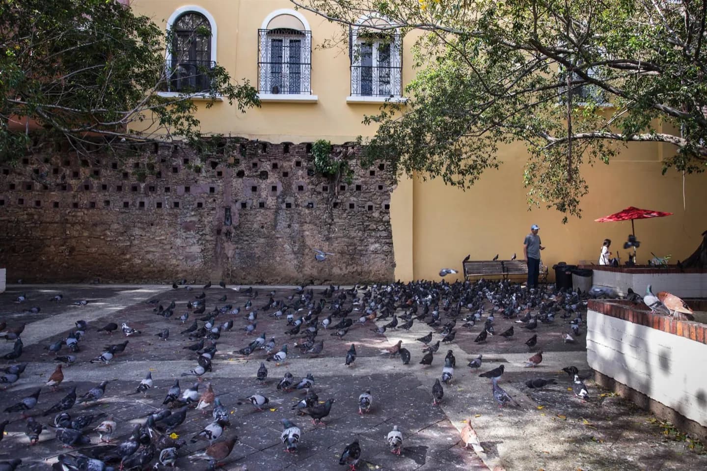 Viejo San Juan