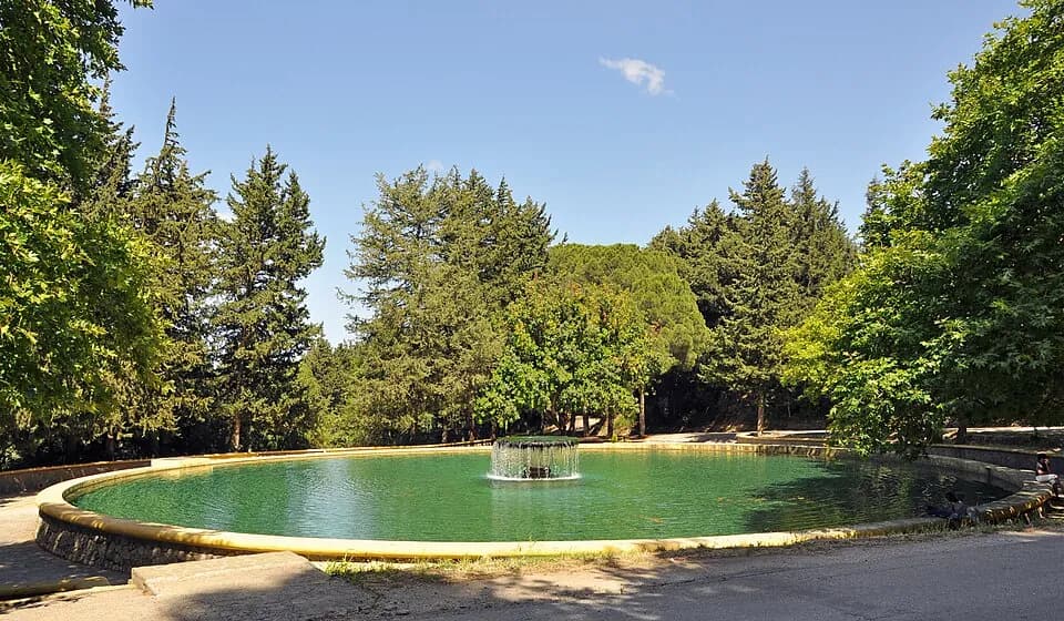 Eleousa Gizani Pond