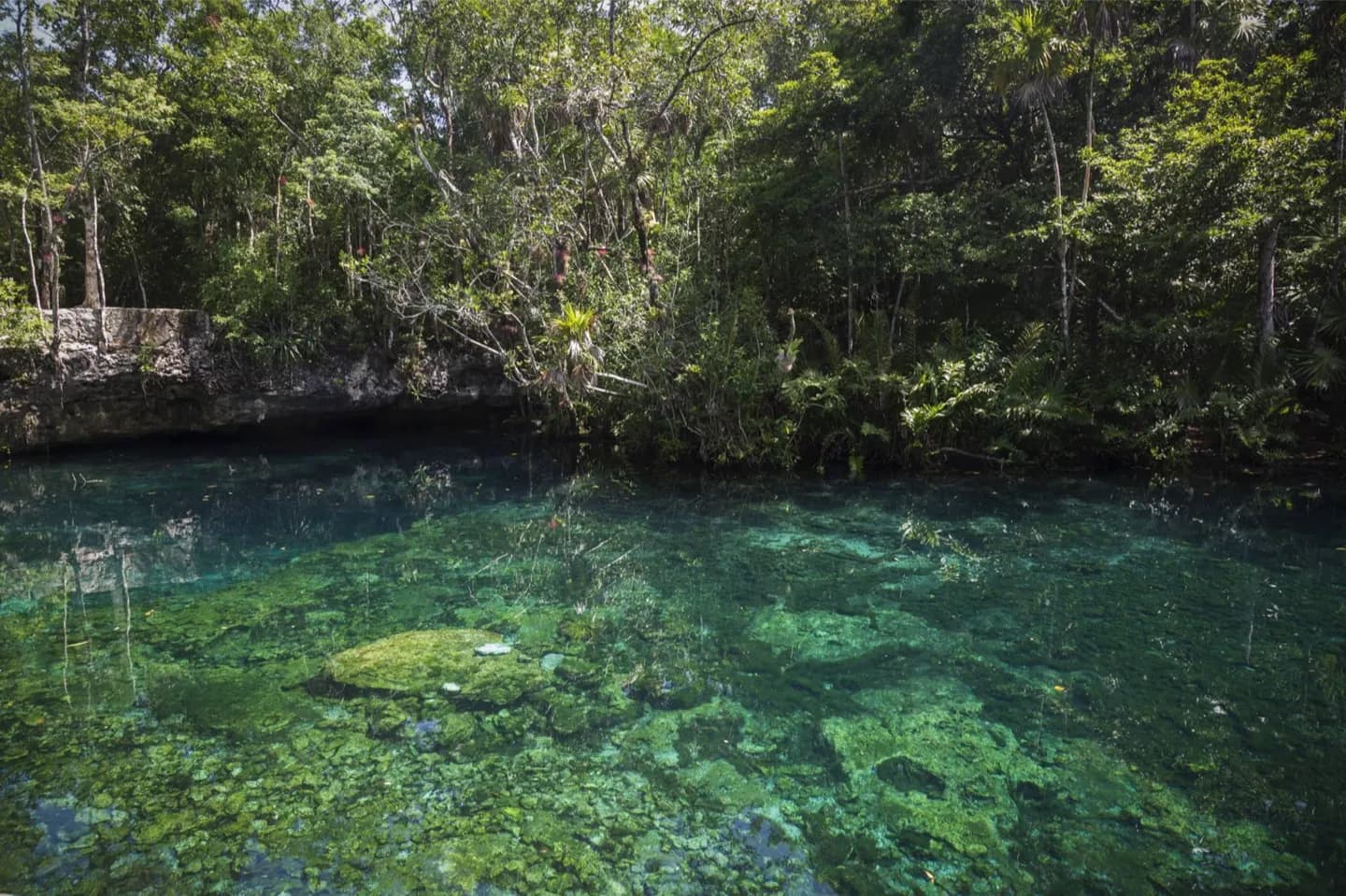 Why the Yucatán has cenotes