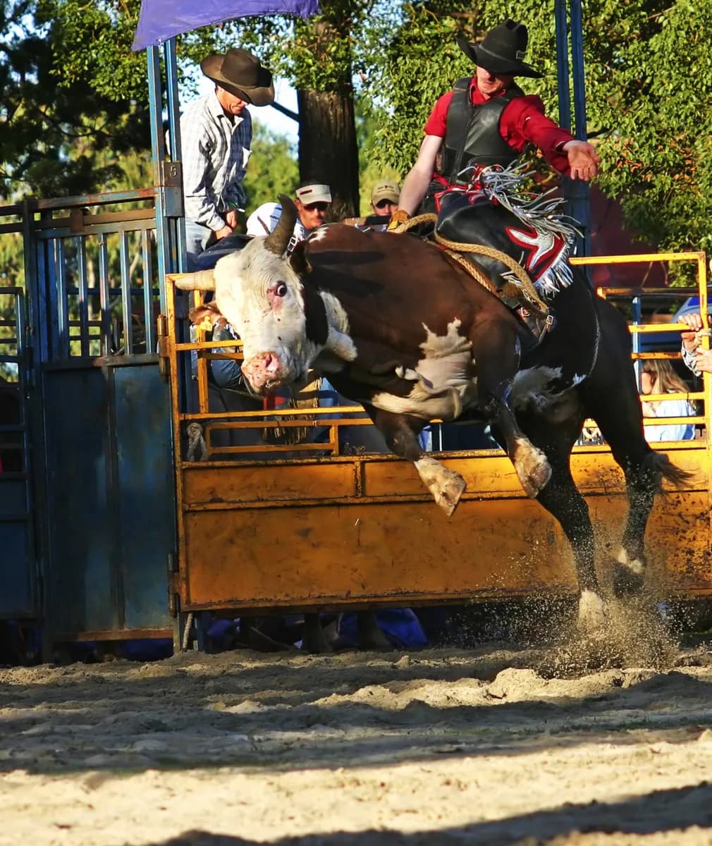 San Antonio Stock Show & Rodeo