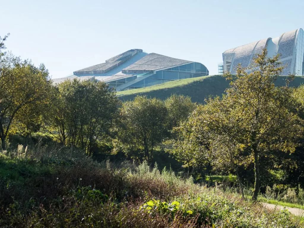 Bosque da Galiza