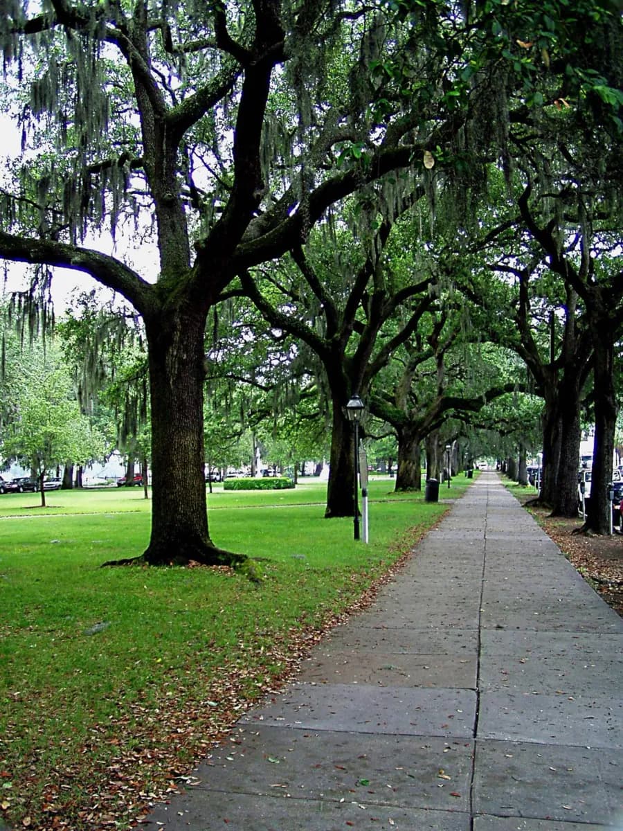 Savannah College of Art and Design