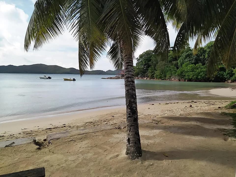 Praslin’s north shore, from Possession to Lazio