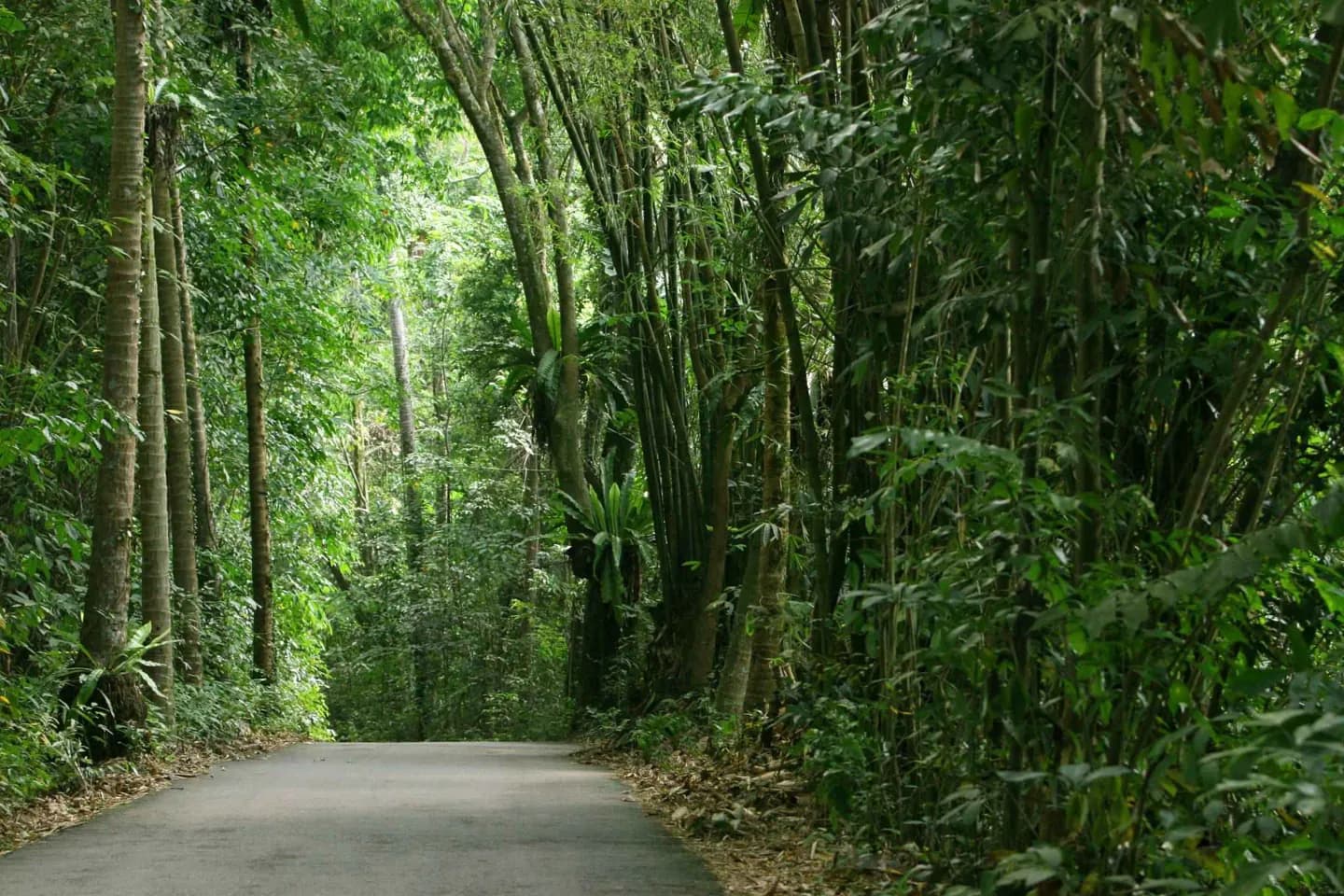 Pulau Ubin