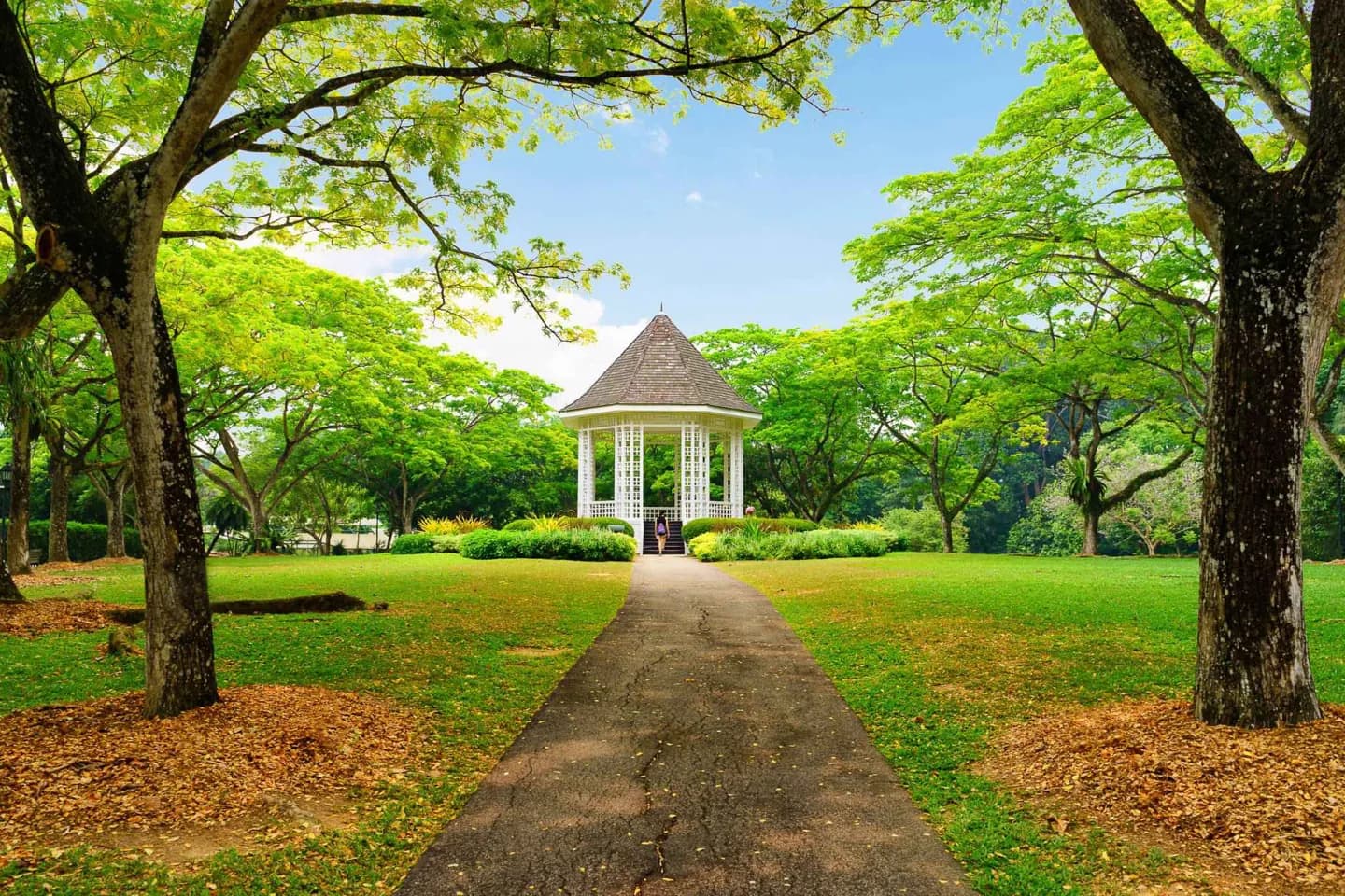 Jardins Botânicos de Cingapura